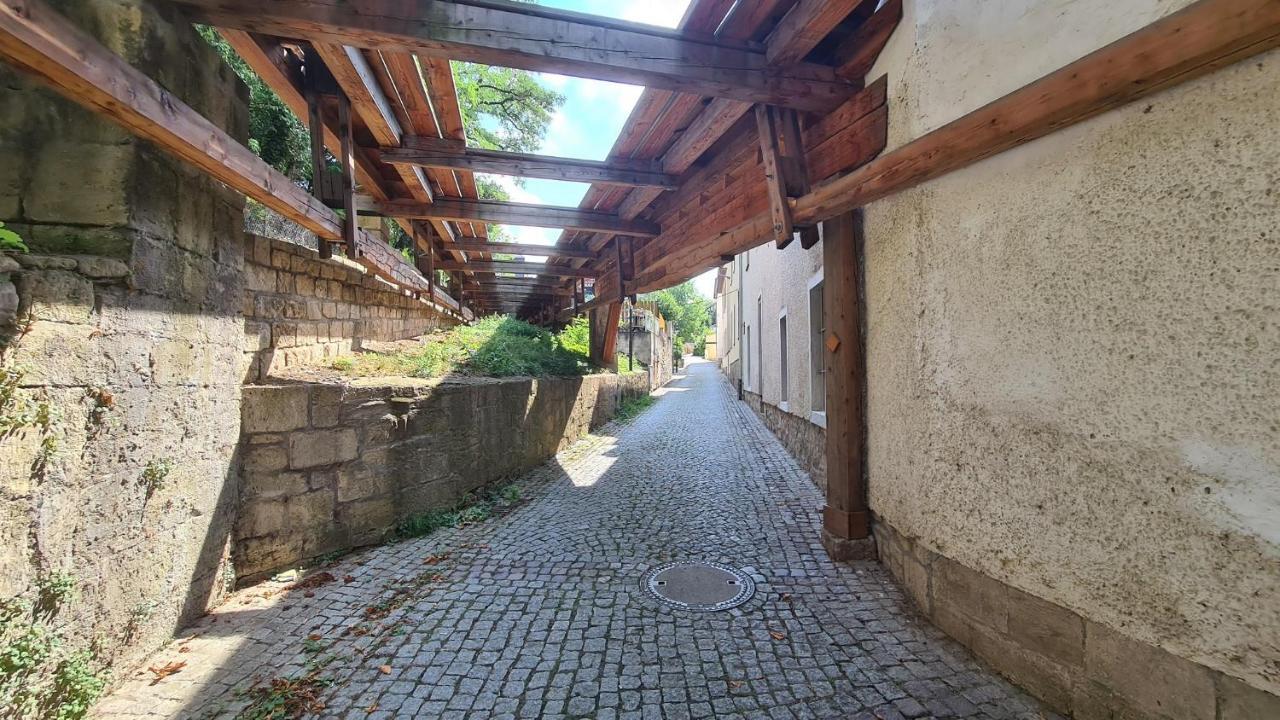 Ferienwohnung Saalemaus Naumburg  Eksteriør bilde